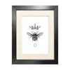 Emily Carter Black 'the Honey Queen Bee' Fine Art Print S In Black