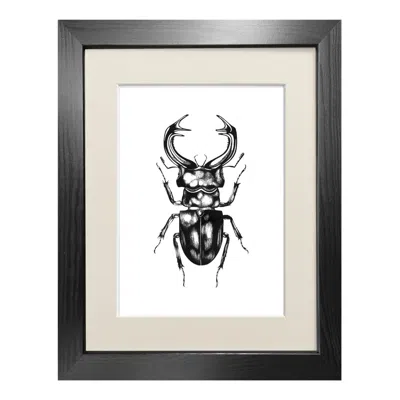 Emily Carter Black 'the Stag Beetle' Fine Art Print A5