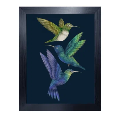 Emily Carter Blue Antique Hummingbirds Ii Indigo Fine Art Print S In Multi