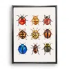 Emily Carter British Ladybirds Fine Art Print L In Multi