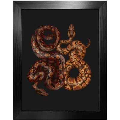 Emily Carter Brown Antique Python & Viper Fine Art Print A3