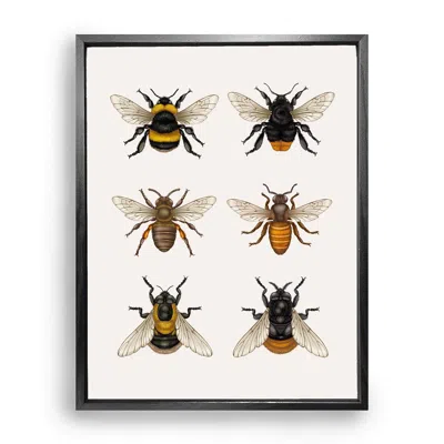 Emily Carter Brown / Gold / Neutrals British Bees Fine Art Print S In Multi