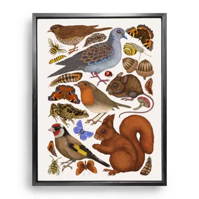 Emily Carter Brown / Neutrals British Wildlife Fine Art Print - A3