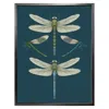 Emily Carter 'dragonflies & Damselflies - Navy' Fine Art Print A5 In Blue