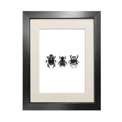 Emily Carter Dung Beetles Fine Art Print A4 In Black