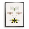 Emily Carter Gold / Yellow British Lacewings Fine Art Print S In Multi
