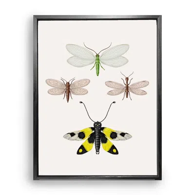 Emily Carter Gold / Yellow British Lacewings Fine Art Print S In Multi