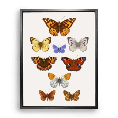 Emily Carter Neutrals / Brown / Gold British Butterflies Fine Art Print M In Brown/gold
