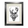Emily Carter The Roe Deer Fine Art Print A3 In Black
