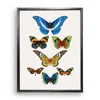 Emily Carter Tropical Butterflies Fine Art Print L In Multi