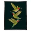 Emily Carter Tropical Hummingbirds Charcoal Fine Art Print L In Black