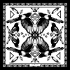 Emily Carter The Mysterious Magpie Scarf In Black