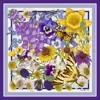 Emily Carter Women's The Wild Flower Silk Neckerchief