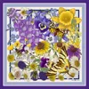 Emily Carter Women's The Wild Flower Silk Scarf In Blue