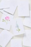 Emily Lex Studio Watercolor Notecards In White