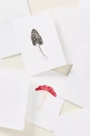 Emily Lex Studio Watercolor Notecards In Multi