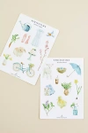 Emily Lex Studio Watercolor Stickers In White