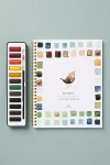 Emily Lex Watercolor Set In Multi
