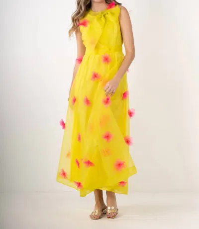 Emily Mccarthy Bella Maxi Dress In Garden Party In Gray