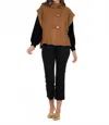 Emily Mccarthy Dublin Mock Neck Cape In Lion In Multi