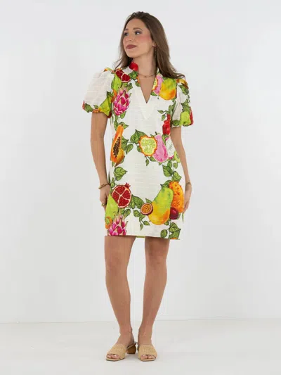 Emily Mccarthy Hampton Mini Dress In Trellis Grove In Multi