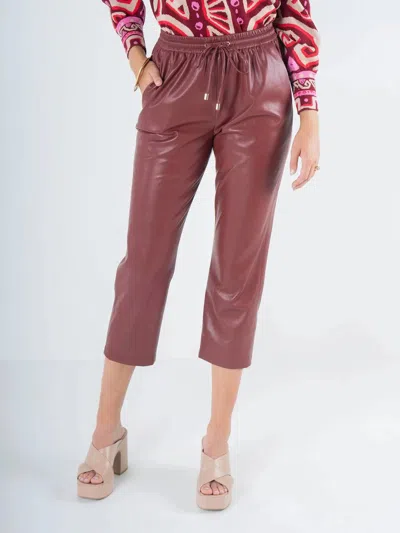 Emily Mccarthy Joy Faux Leather Jogger Pants In Fired Brick In Red