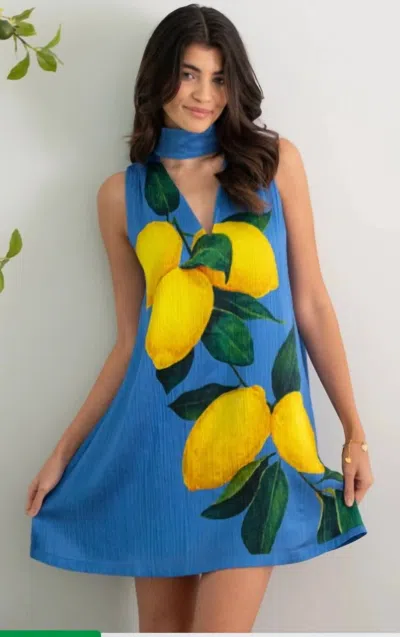 Emily Mccarthy Milan Mini Dress In Limomata In Blue