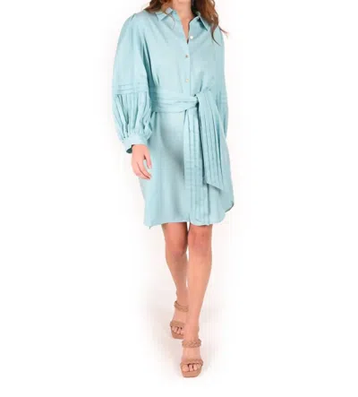 Emily Mccarthy Oxford Dress In Aqua Haze In Multi