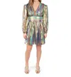 Emily Mccarthy Penny Dress In Tinsel In Multi