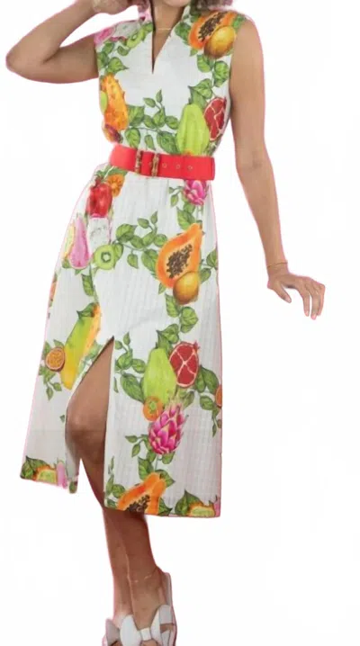 Emily Mccarthy Roma Dress In Trellis Grove In Multi