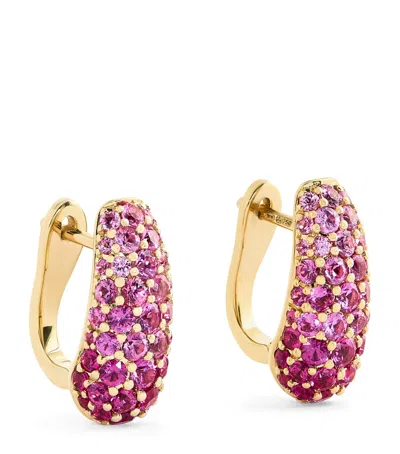 Emily P Wheeler Yellow Gold And Pink Sapphire Holly Huggie Earrings In Black