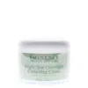 Eminence Bright Skin Overnight Correcting Cream 8.4 oz Skin Care 865479002692