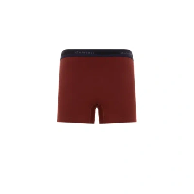 Eminence Cotton Boxers In Brown