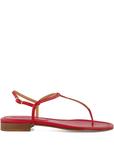 Emme Parsons Cecilia Sandals In Red