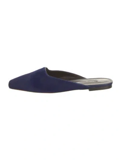 Pre-owned Emme Parsons Ponyhair Leather Trim Embellishment Mules In Blue