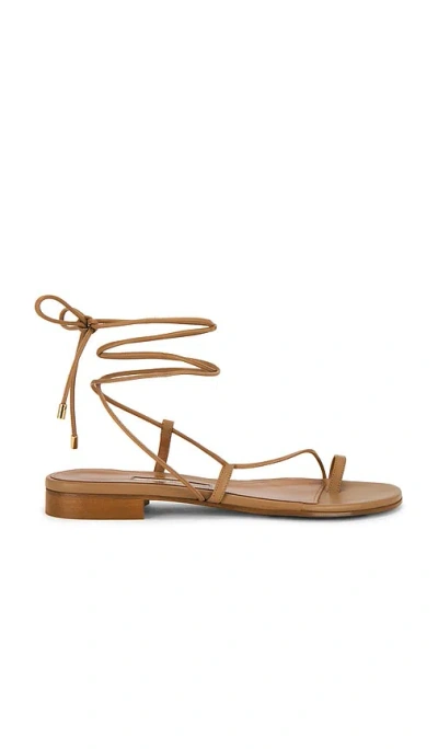 Emme Parsons Susan Leather Sandals In Brown