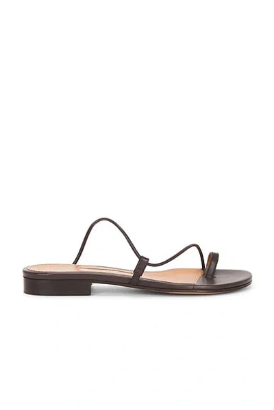 Emme Parsons Susan Slide In Brown
