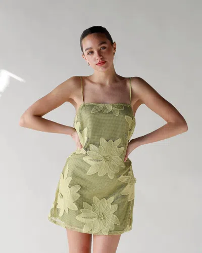 Emory Park Electric Bloom Crochet Mini Dress In Green