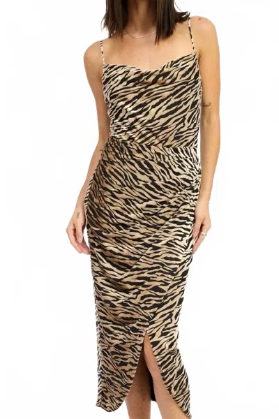Emory Park Velvet Zebra Dress In Multi