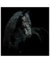 Empire Art Direct Black Equine Attraction Frameless Free Floating Tempered Glass Panel Graphic Wall Art