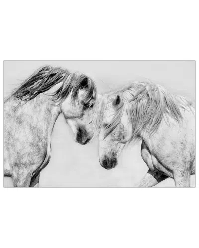 Empire Art Direct Caballo Blanco Equine Frameless Free Floating Tempered Glass Panel Graphic Wall Art In Gray