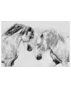Empire Art Direct Caballo Blanco Equine Frameless Free Floating Tempered Glass Panel Graphic Wall Ar