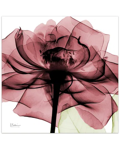 Empire Art Direct Chianti Rose Ii By Albert Koetsier Wall Art