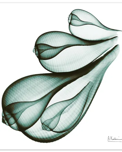 Empire Art Direct Coastal Serenity I By Albert Koetsier Wall Art