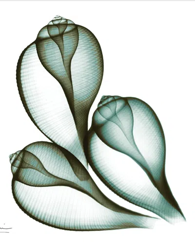 Empire Art Direct Coastal Serenity Ii By Albert Koetsier Wall Art