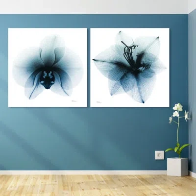 Empire Art Direct Coral Luster 1&2 - 2 Piece Unframed Print On Glass
