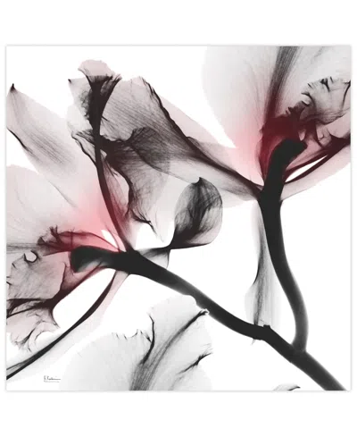 Empire Art Direct "coral Luster 2" Frameless Free Floating Tempered Glass Panel Graphic Wall Art, 24" X 24" X 0.2" In Pink,gray