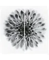 Empire Art Direct "dahlia Ab" Frameless Free Floating Tempered Glass Panel Graphic Wall Art Set Of 2, 72" X 36" X 0.2" In Gray