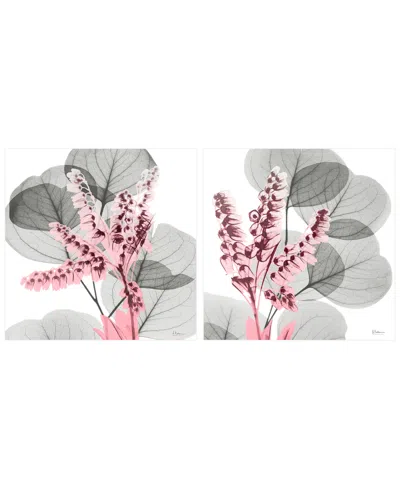 Empire Art Direct Eucalyptus Bush 1 2 Frameless Free Floating Tempered Glass Panel Graphic Wall Art, 24" X 24" X 0.2" In Pink,gray