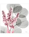 Empire Art Direct Eucalyptus Bush 2 By Albert Koetsier Wall Art